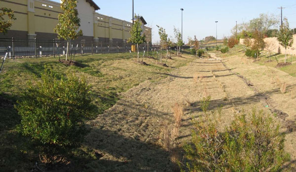 Bioretention Area 1